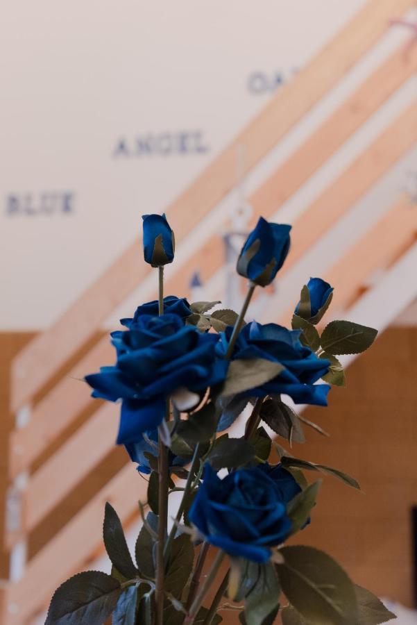 Blue Angel Oak - Apartment Μπάρι Εξωτερικό φωτογραφία